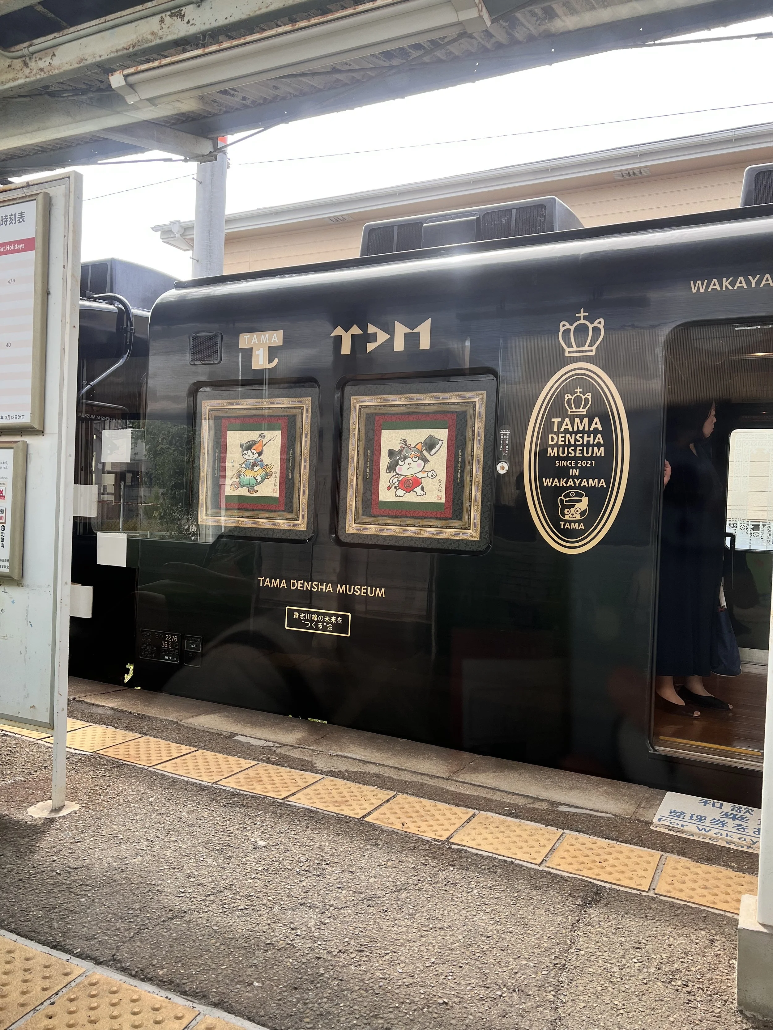 All Aboard the Cat Train! Fun and Unique Day-Trip Idea While